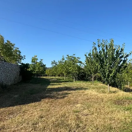 Perlat Orchard Kemp Rreshen