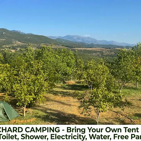 Perlat Orchard *