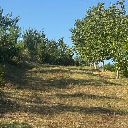 Perlat Orchard Kemp Rreshen
