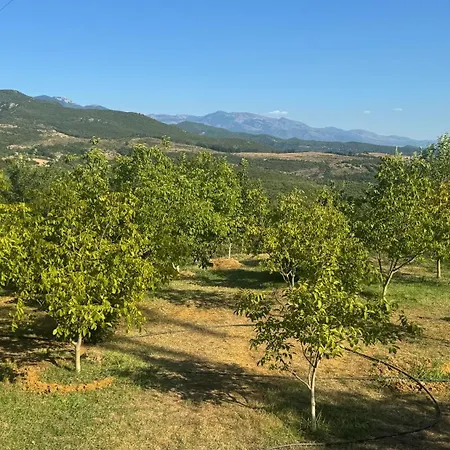 Kemp Perlat Orchard Rreshen